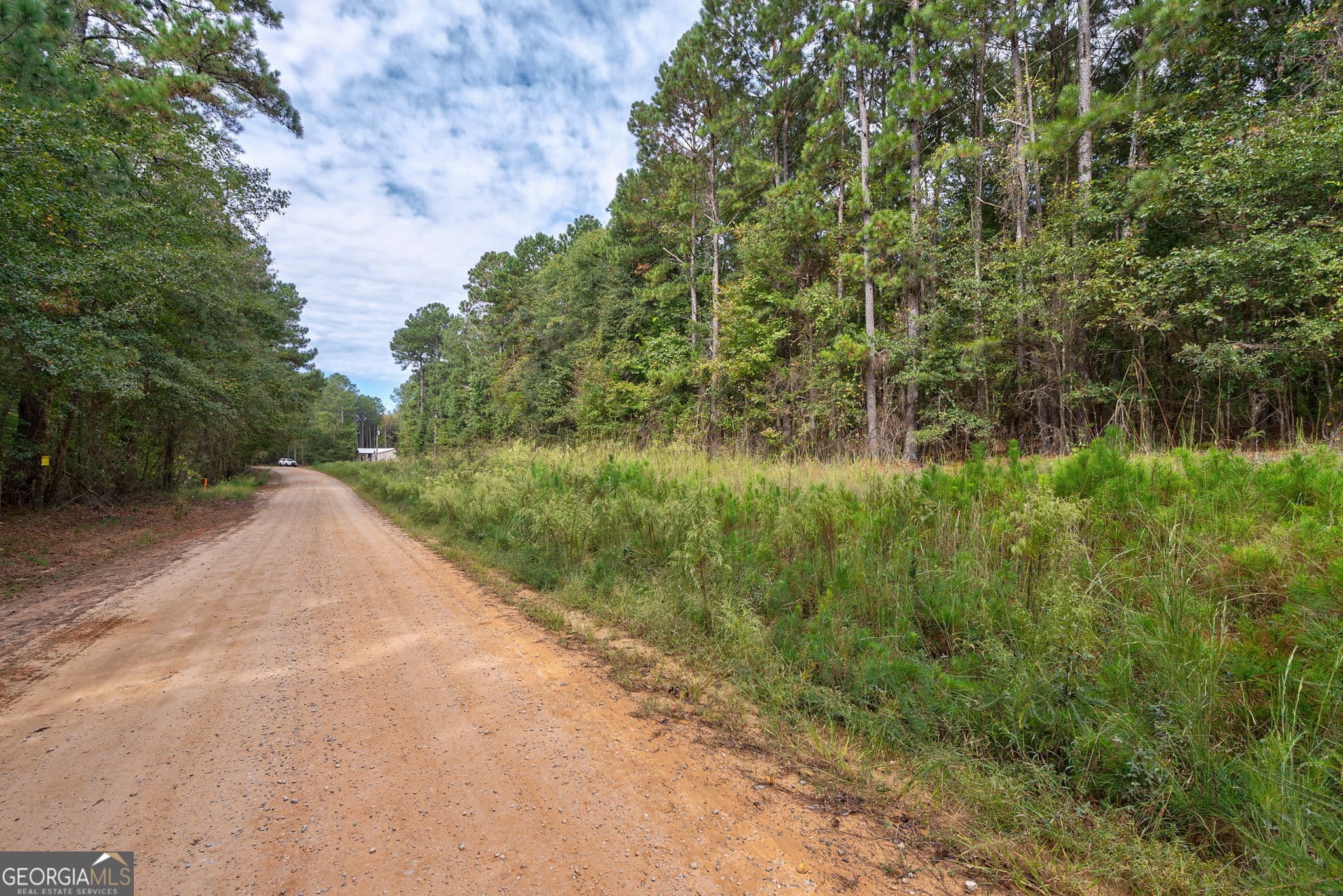 unimproved land for sale at 0 Lower Wirebridge Road, Stephens, GA 30667 — photo 3