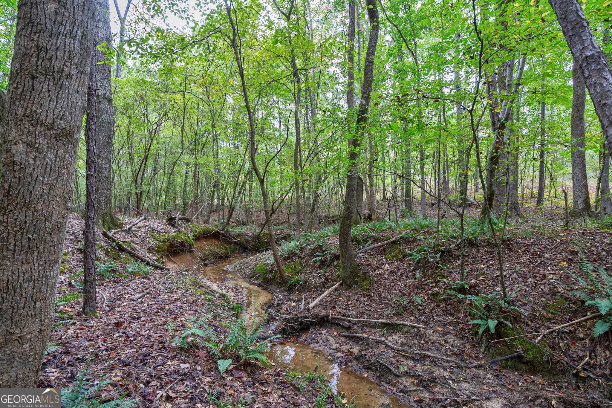 unimproved land for sale at 0 Lower Wirebridge Road, Stephens, GA 30667 — photo 1 of 42