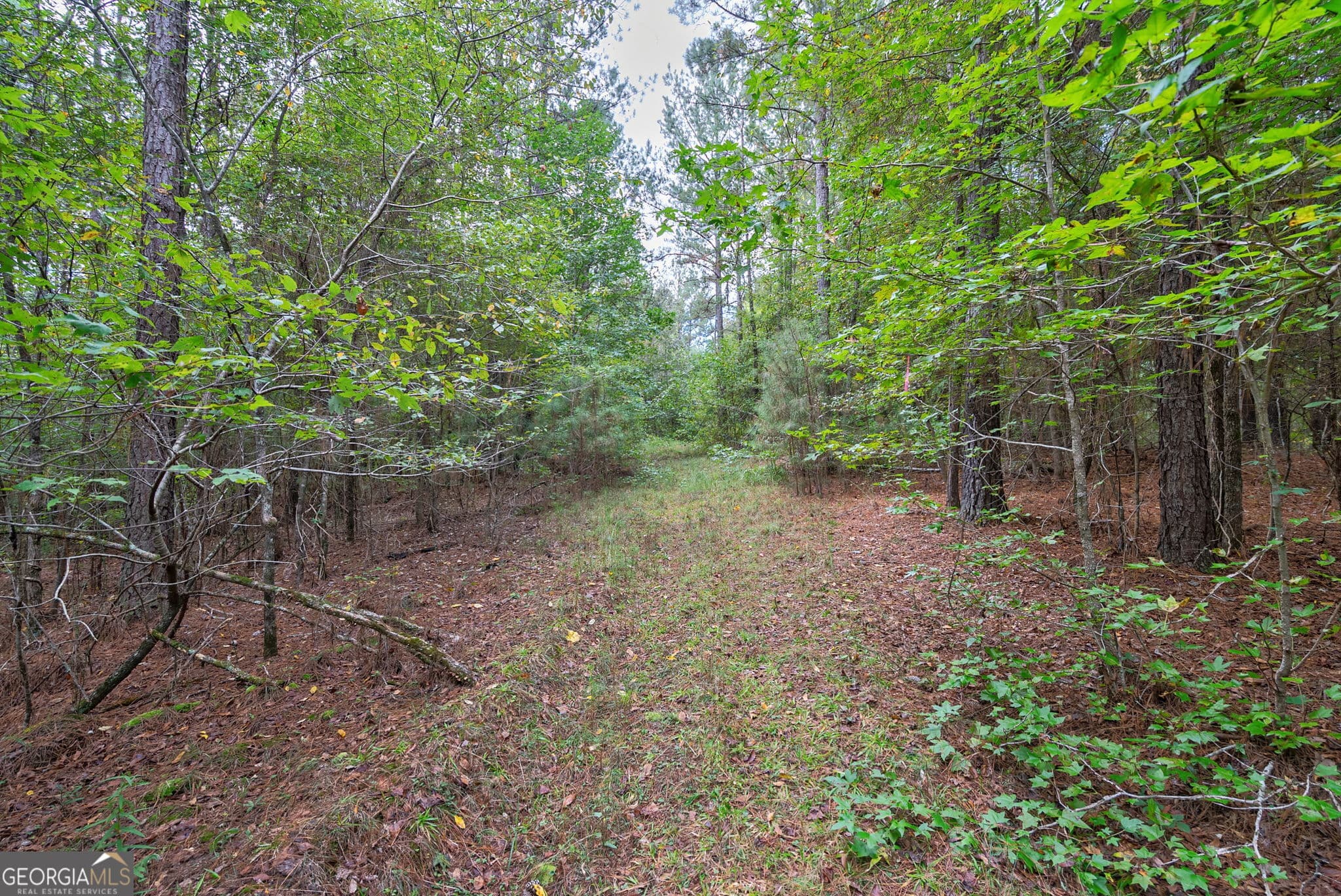 unimproved land for sale at 0 Lower Wirebridge Road, Stephens, GA 30667 — photo 5