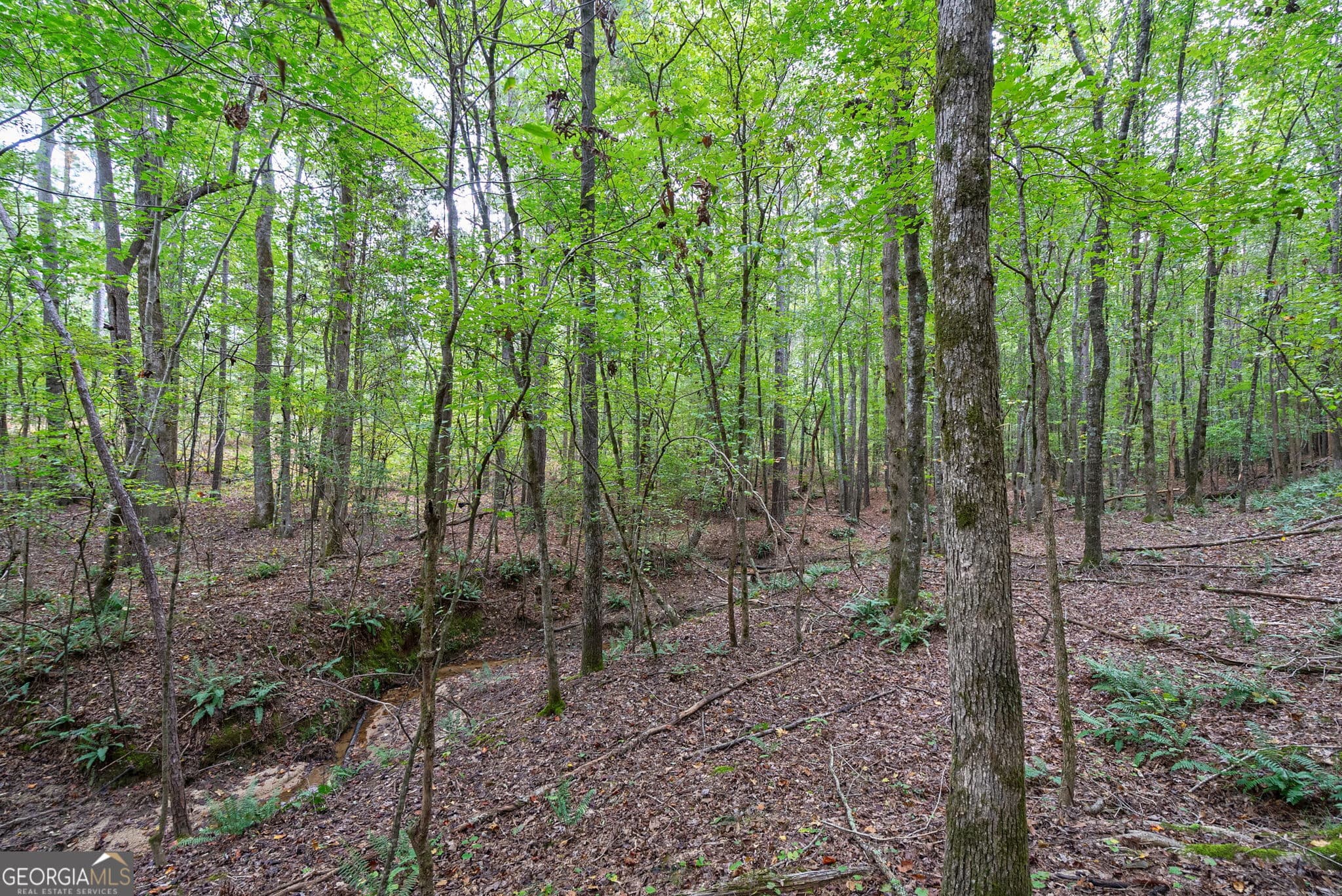 unimproved land for sale at 0 Lower Wirebridge Road, Stephens, GA 30667 — photo 9