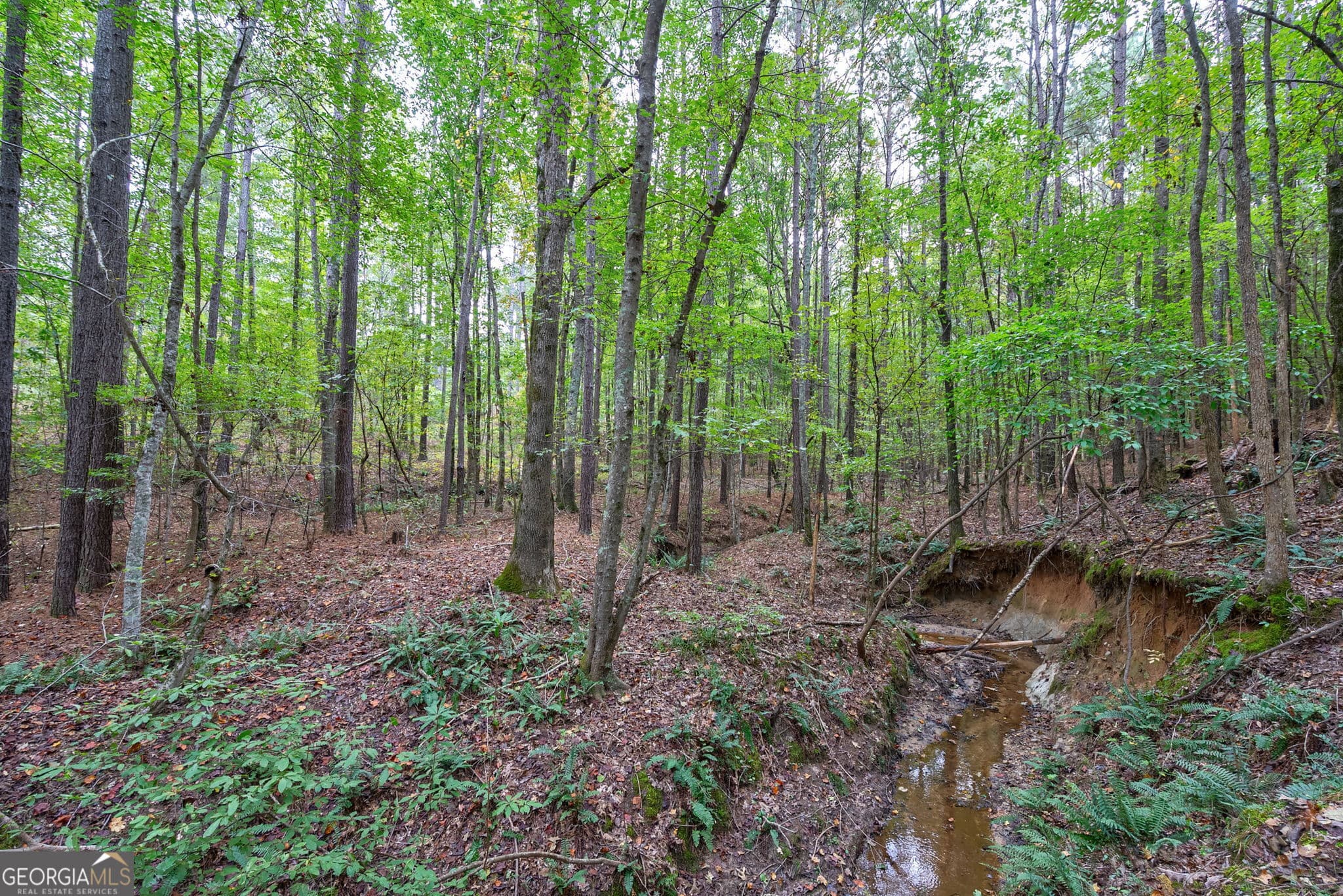 unimproved land for sale at 0 Lower Wirebridge Road, Stephens, GA 30667 — photo 10