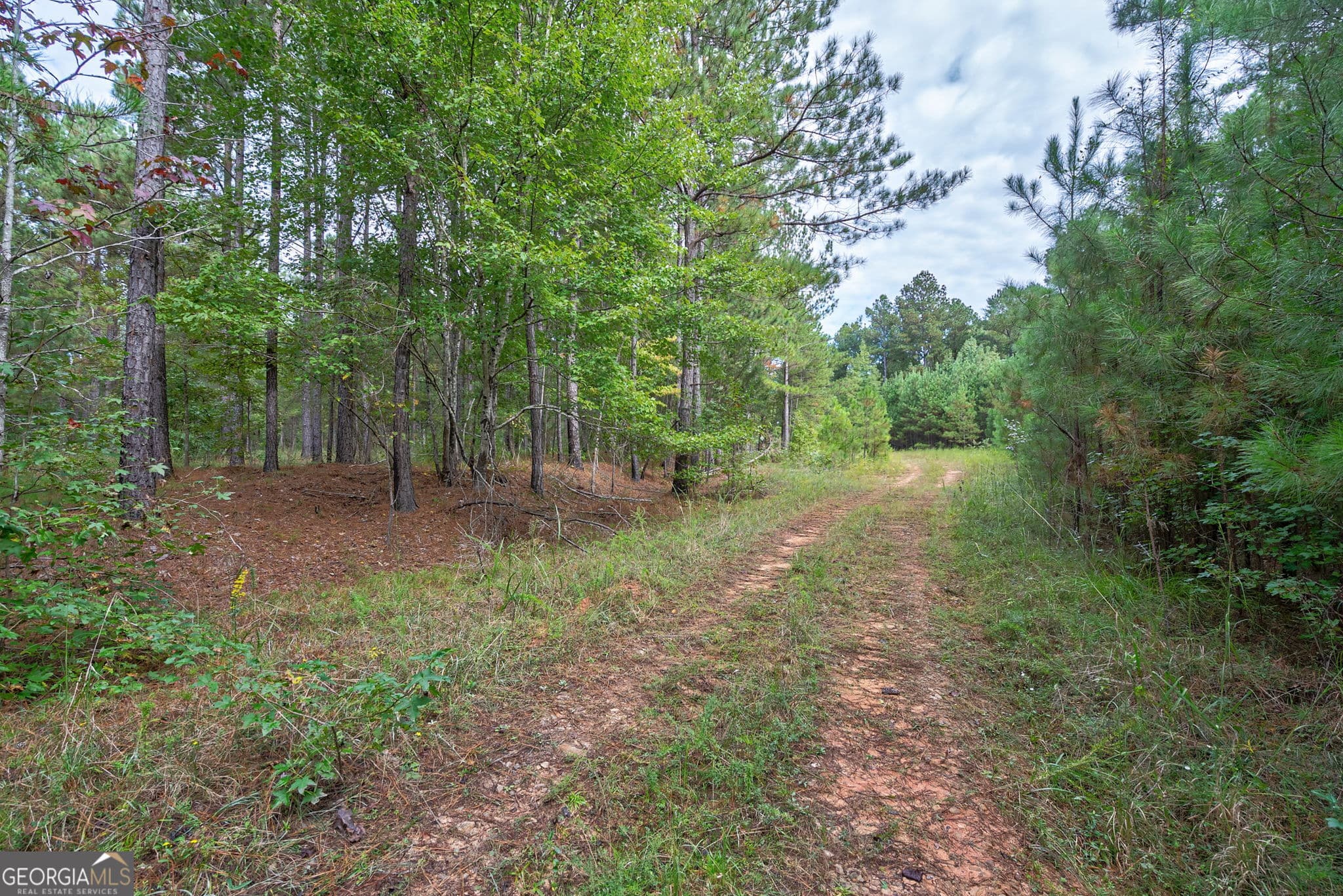 unimproved land for sale at 0 Lower Wirebridge Road, Stephens, GA 30667 — photo 4