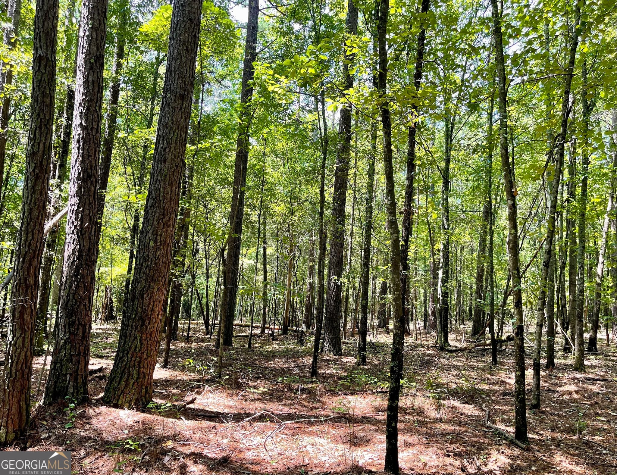 agriculture for sale at 0 WELCOME TO ARNCO Road, Newnan, GA 30263 — photo 2