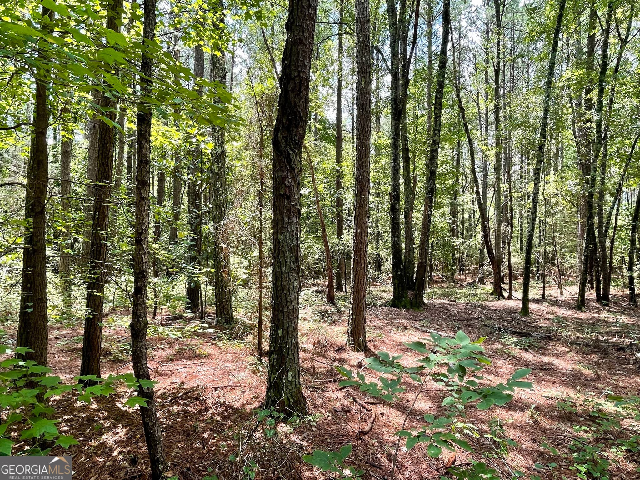 agriculture for sale at 0 WELCOME TO ARNCO Road, Newnan, GA 30263 — photo 6