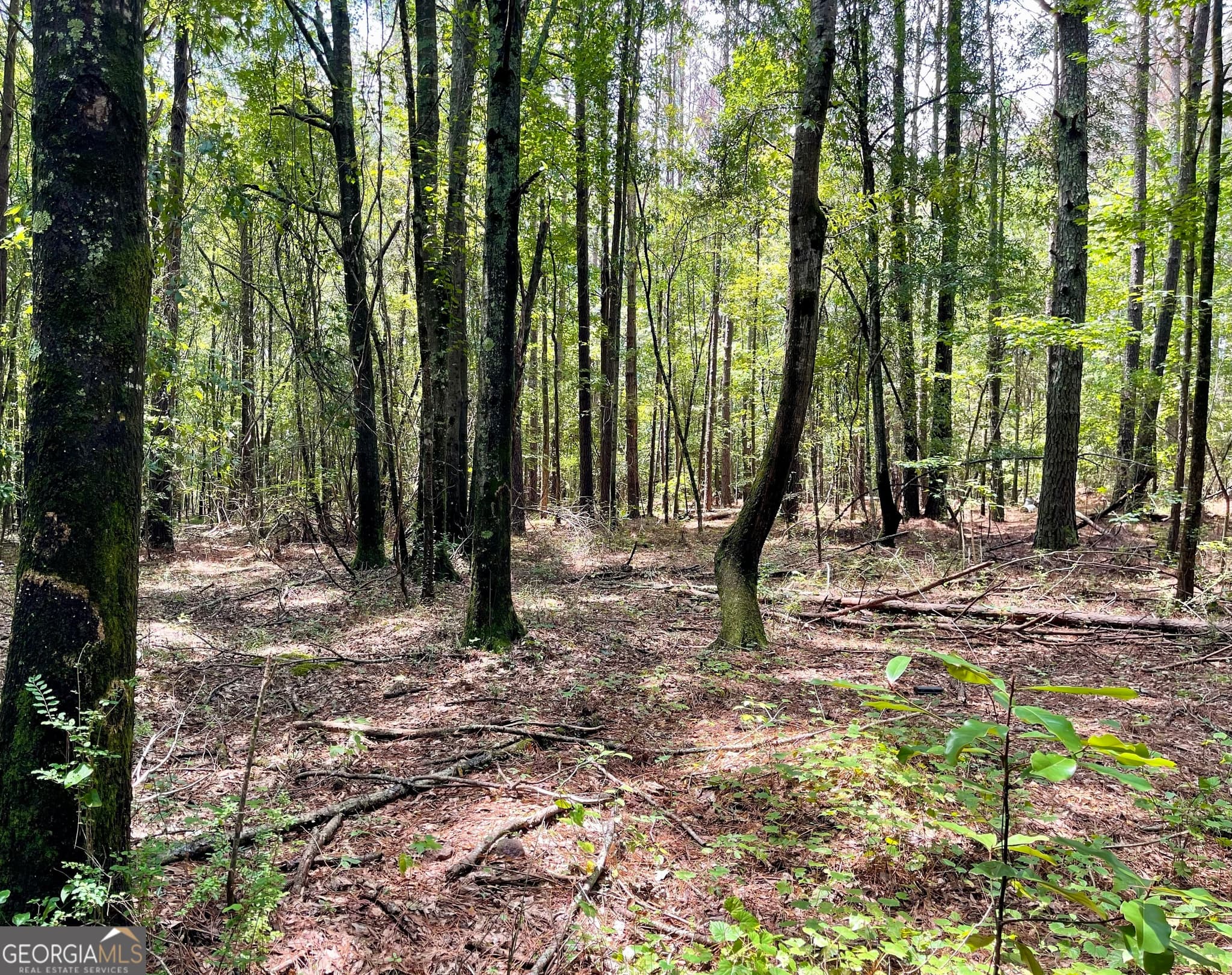 agriculture for sale at 0 WELCOME TO ARNCO Road, Newnan, GA 30263 — photo 7