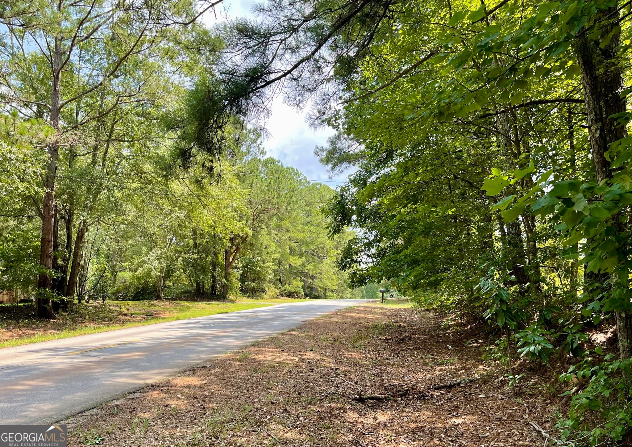 agriculture for sale at 0 WELCOME TO ARNCO Road, Newnan, GA 30263 — photo 3