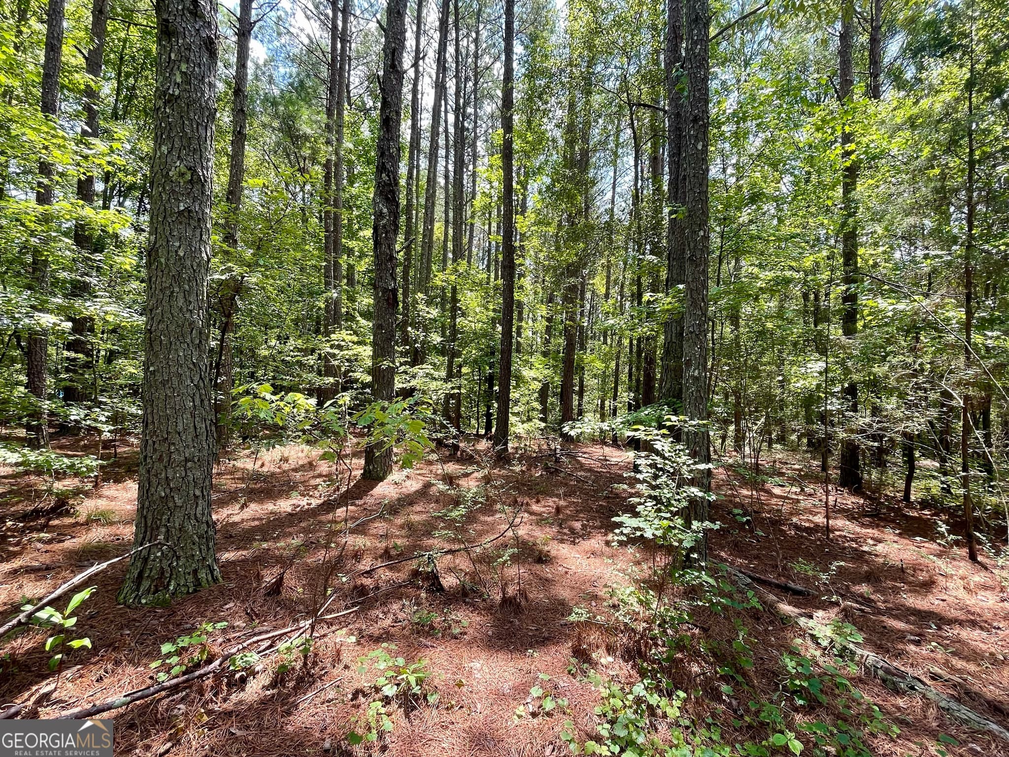 agriculture for sale at 0 WELCOME TO ARNCO Road, Newnan, GA 30263 — photo 5