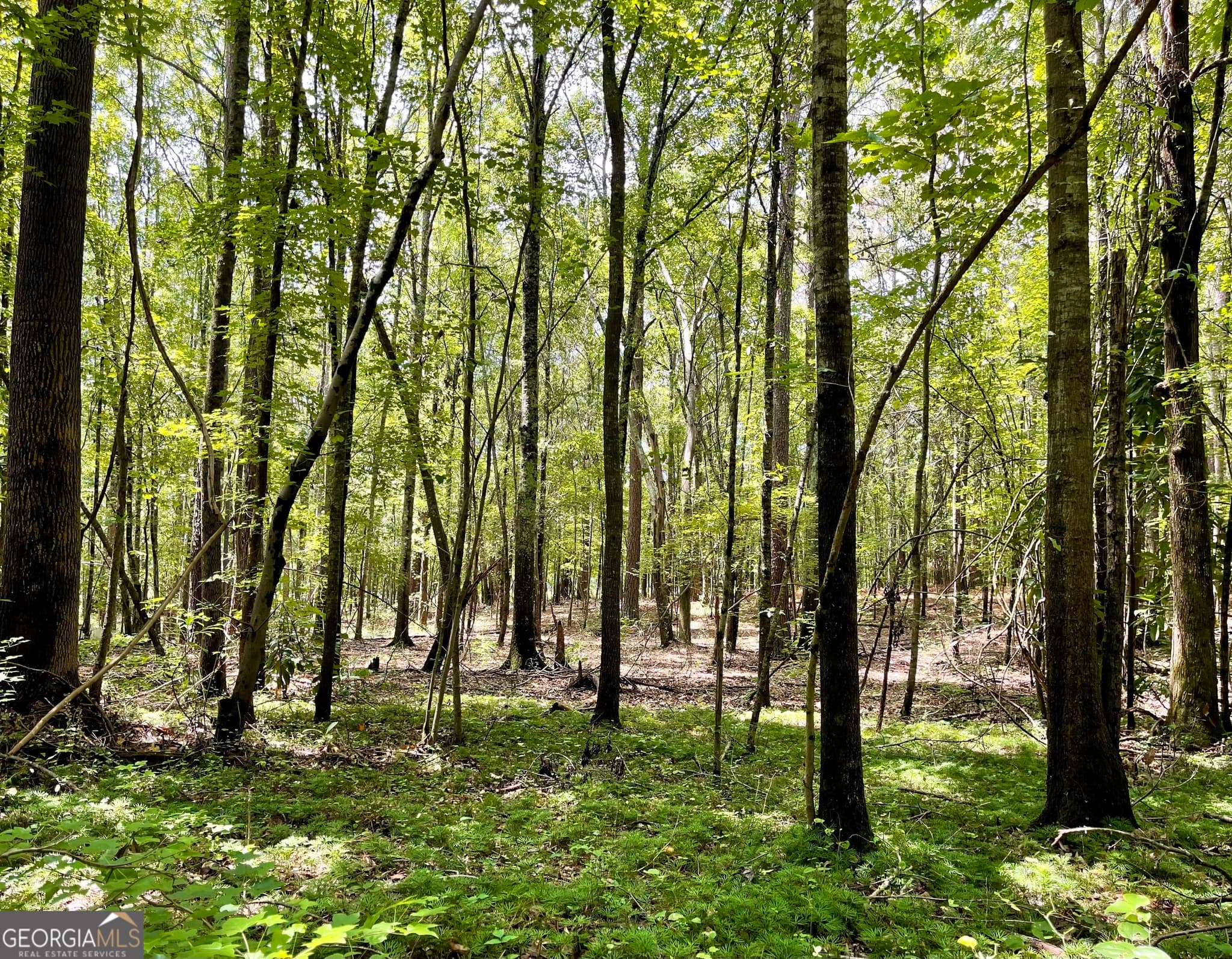 agriculture for sale at 0 WELCOME TO ARNCO Road, Newnan, GA 30263 — photo 10