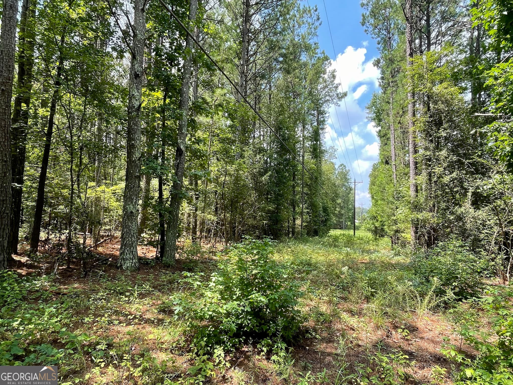 agriculture for sale at 0 WELCOME TO ARNCO Road, Newnan, GA 30263 — photo 4