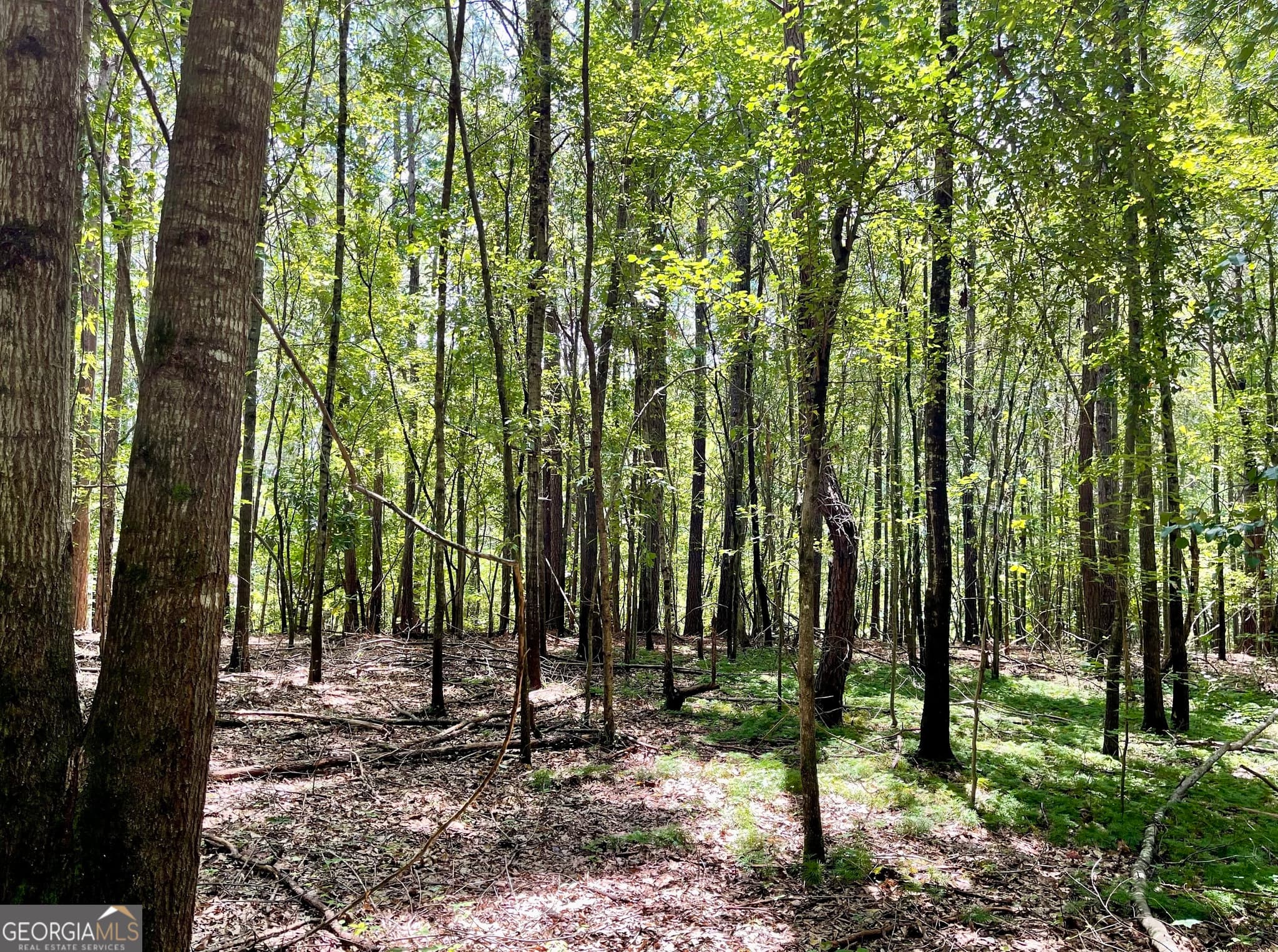 agriculture for sale at 0 WELCOME TO ARNCO Road, Newnan, GA 30263 — photo 8