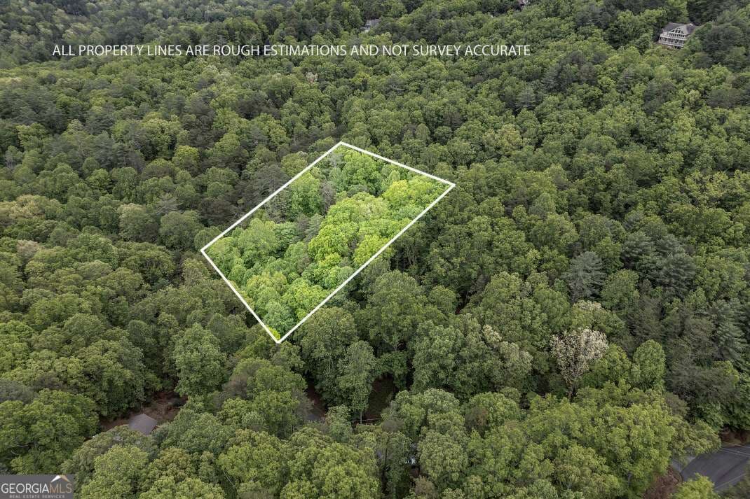 residential lot for sale at LOT 17 Lower Gap Road 17, Sautee Nacoochee, GA 30571 — photo 2