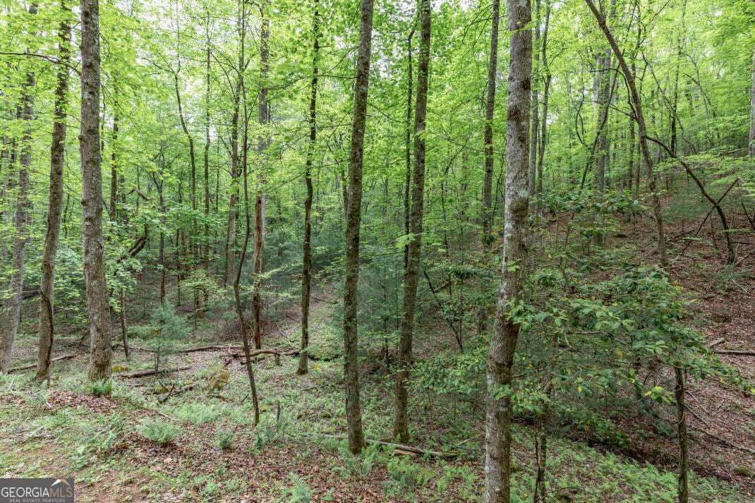 residential lot for sale at LOT 17 Lower Gap Road 17, Sautee Nacoochee, GA 30571 — photo 6