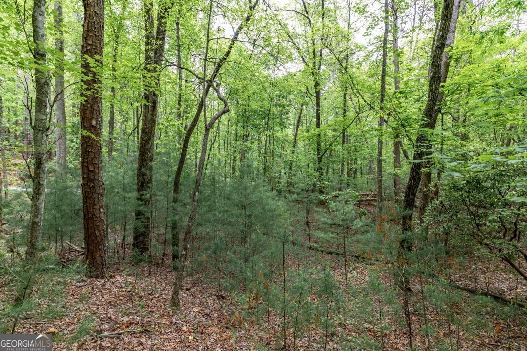 residential lot for sale at LOT 17 Lower Gap Road 17, Sautee Nacoochee, GA 30571 — photo 7