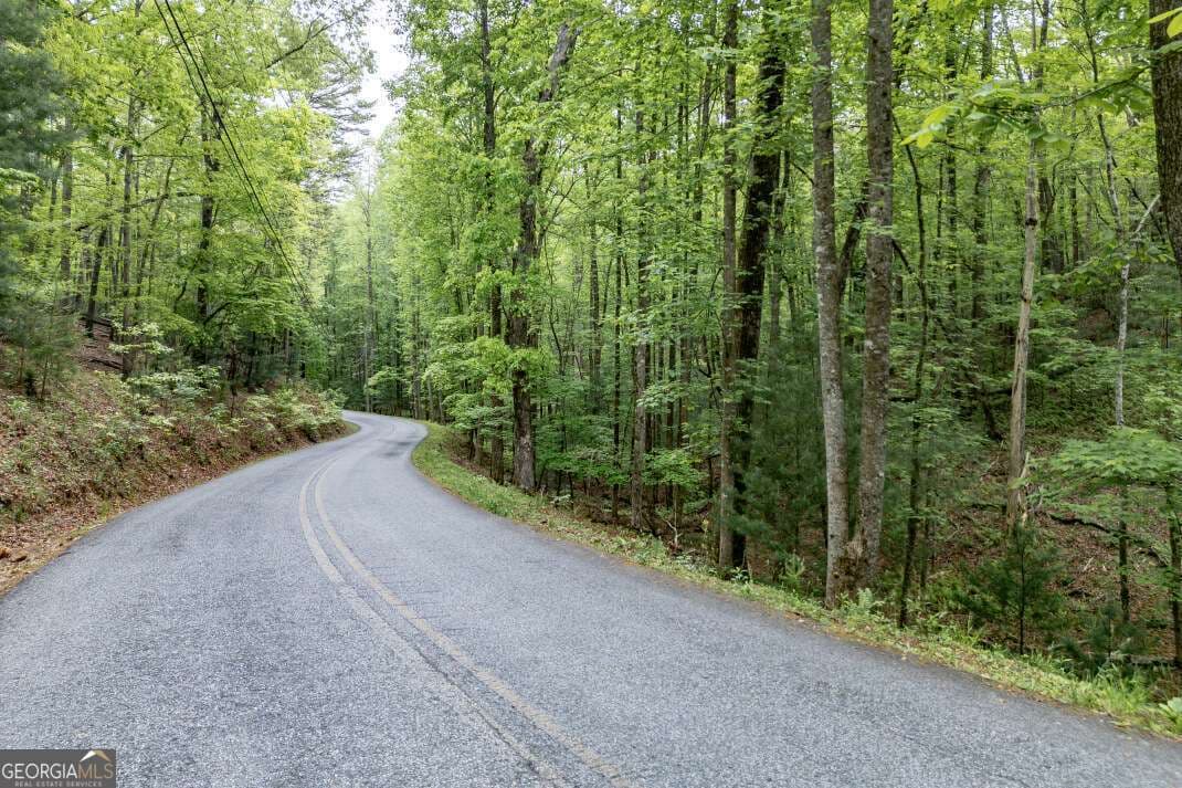 residential lot for sale at LOT 17 Lower Gap Road 17, Sautee Nacoochee, GA 30571 — photo 3
