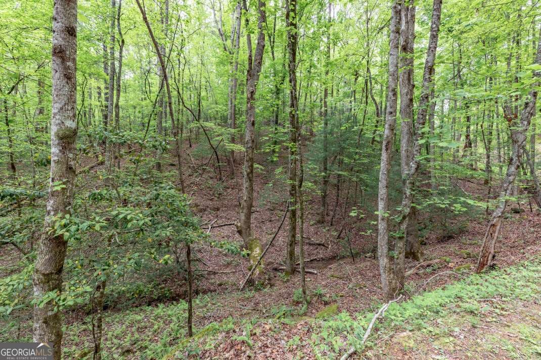 residential lot for sale at LOT 17 Lower Gap Road 17, Sautee Nacoochee, GA 30571 — photo 5