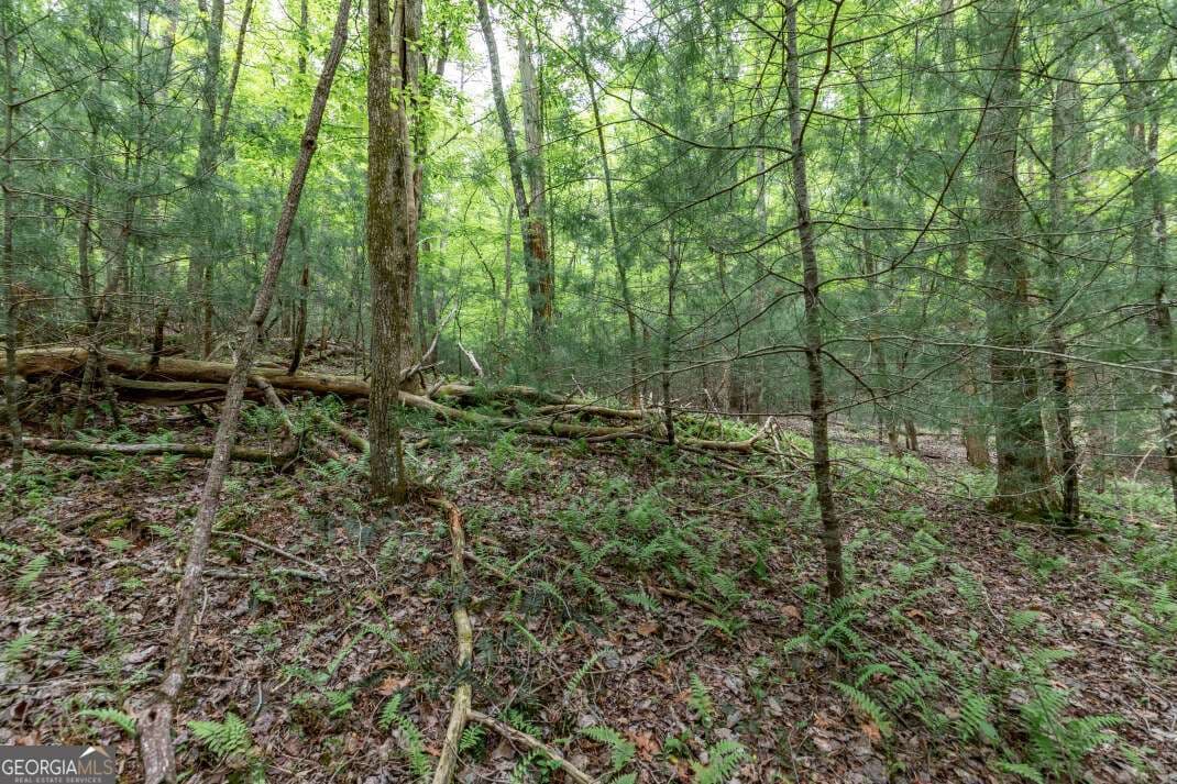residential lot for sale at LOT 17 Lower Gap Road 17, Sautee Nacoochee, GA 30571 — photo 9