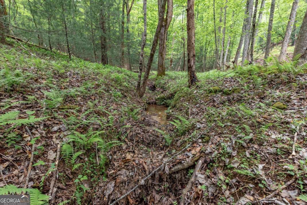 residential lot for sale at LOT 17 Lower Gap Road 17, Sautee Nacoochee, GA 30571 — photo 10