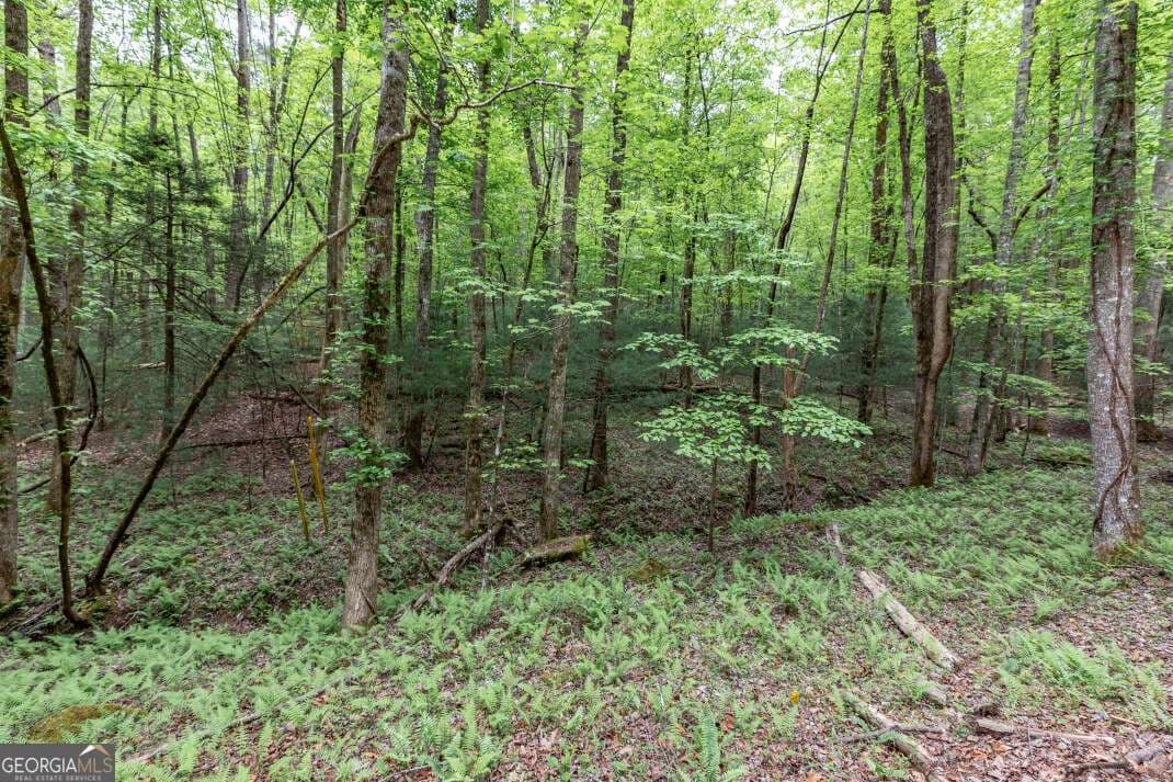 residential lot for sale at LOT 17 Lower Gap Road 17, Sautee Nacoochee, GA 30571 — photo 4