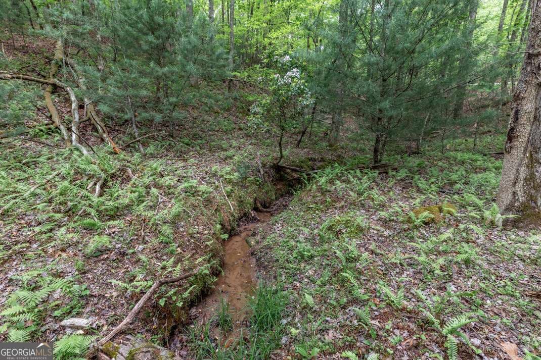 residential lot for sale at LOT 17 Lower Gap Road 17, Sautee Nacoochee, GA 30571 — photo 8