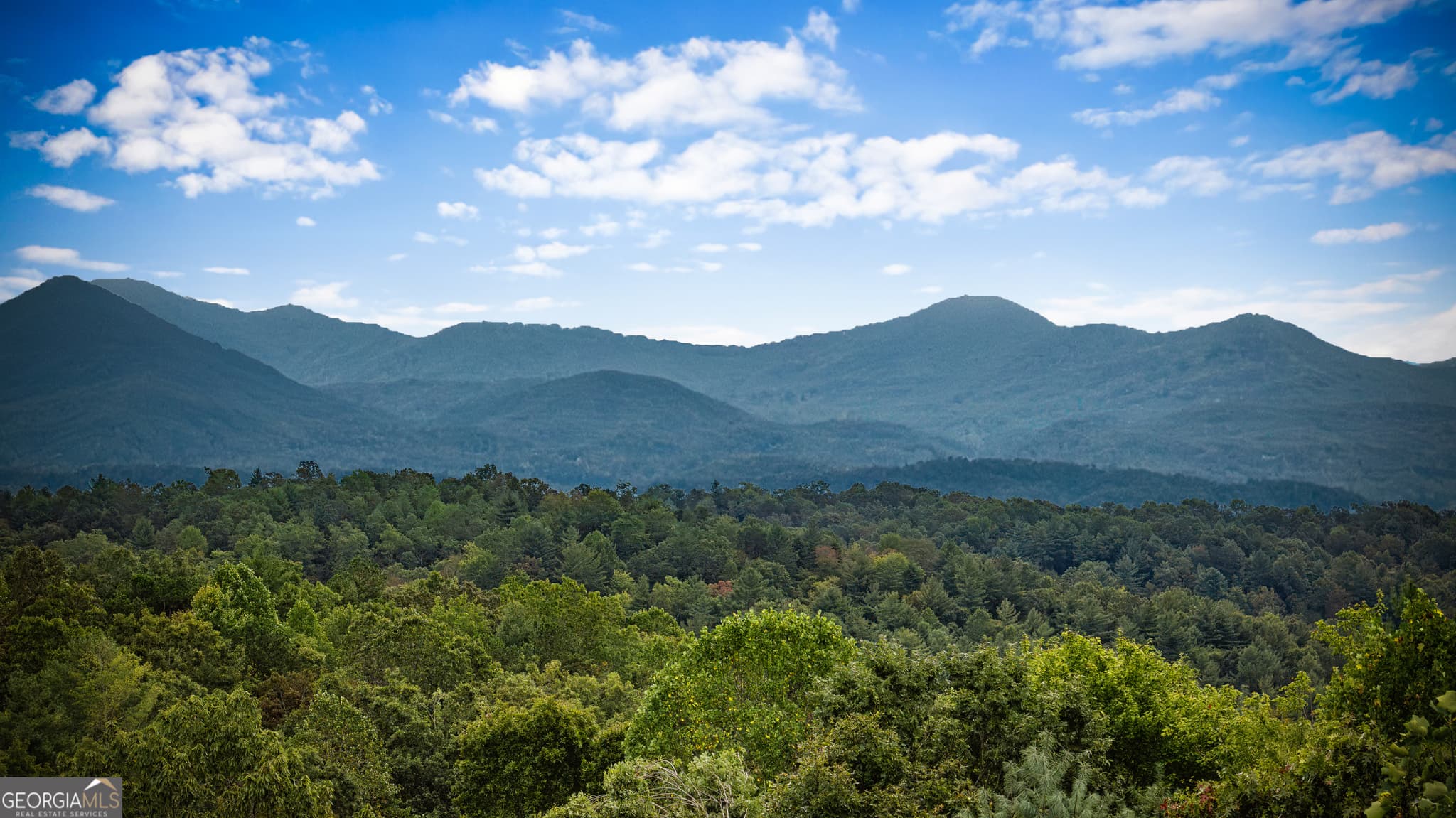 4 bedroom, 3 bathroom, 2,728 sq ft single family residence for sale at 132 New Berry Street, Ellijay, GA 30540 — photo 5