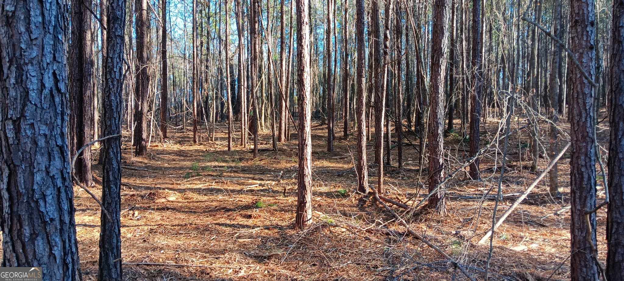 unimproved land for sale at TRACT C Sweetbriar Lane, Griffin, GA 30224 — photo 6
