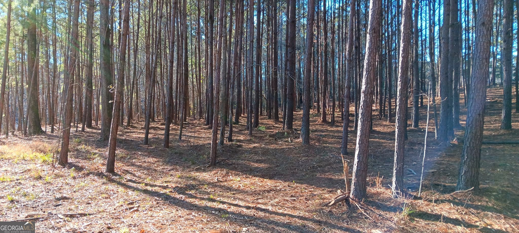 unimproved land for sale at TRACT C Sweetbriar Lane, Griffin, GA 30224 — photo 7