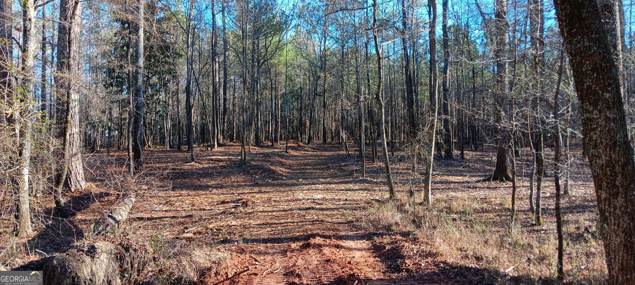 unimproved land for sale at TRACT C Sweetbriar Lane, Griffin, GA 30224 — photo 5