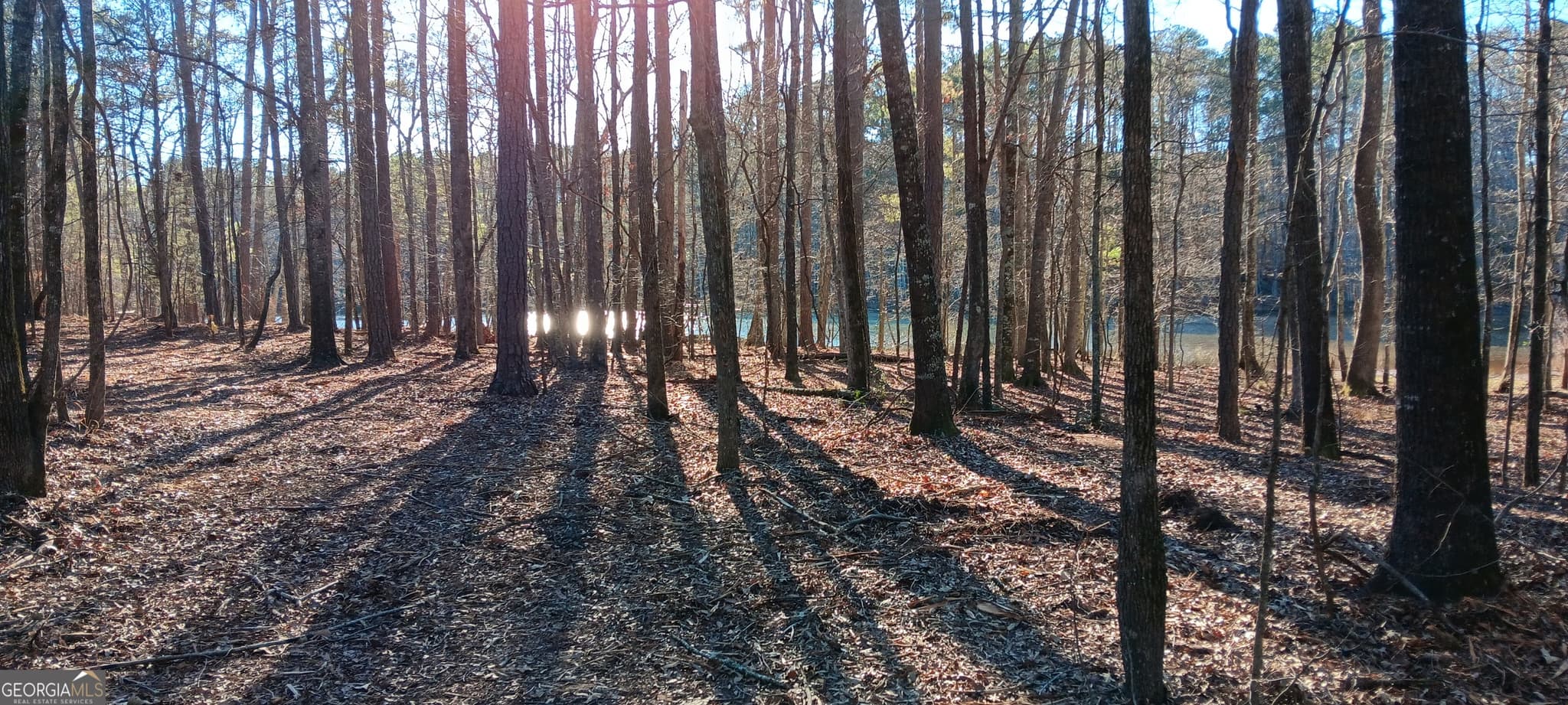 unimproved land for sale at TRACT C Sweetbriar Lane, Griffin, GA 30224 — photo 9