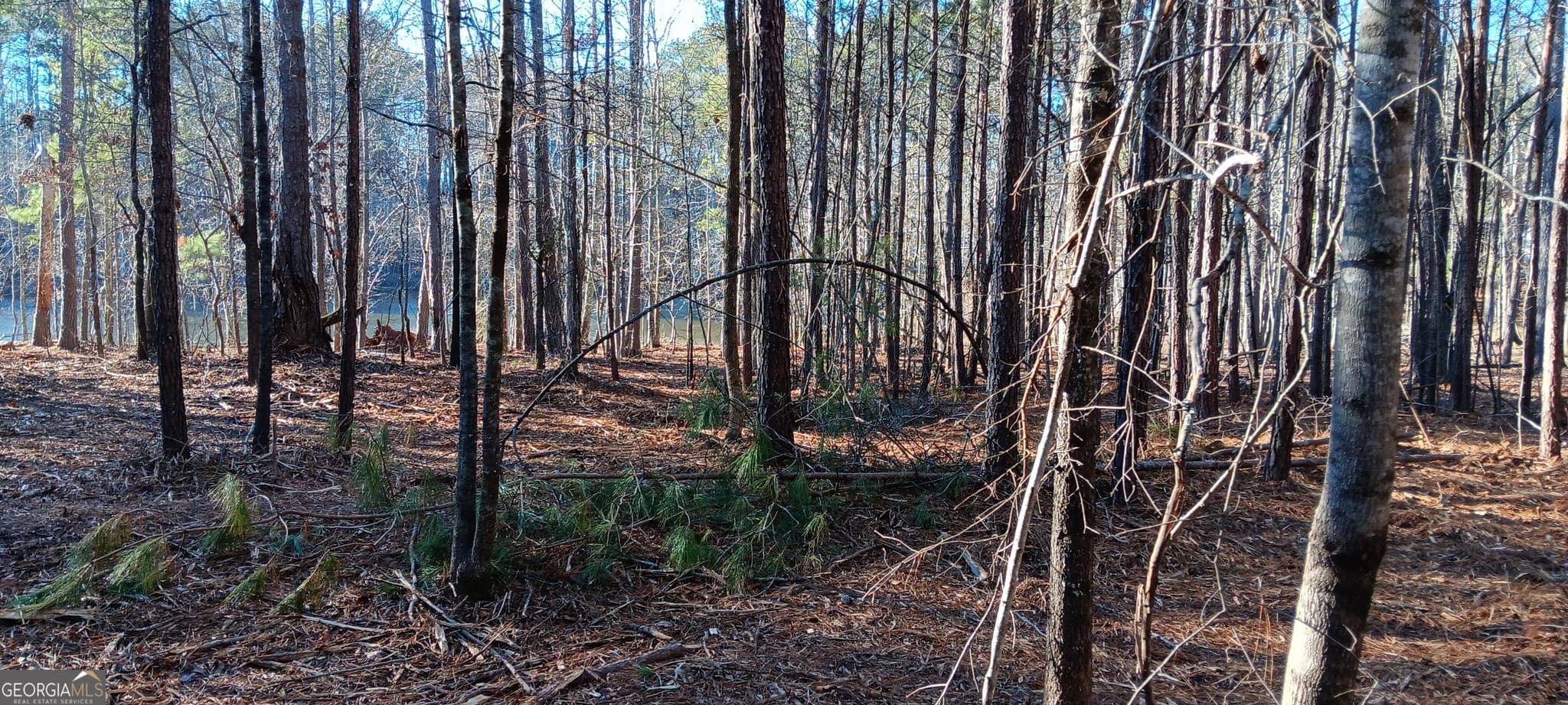 unimproved land for sale at TRACT C Sweetbriar Lane, Griffin, GA 30224 — photo 10