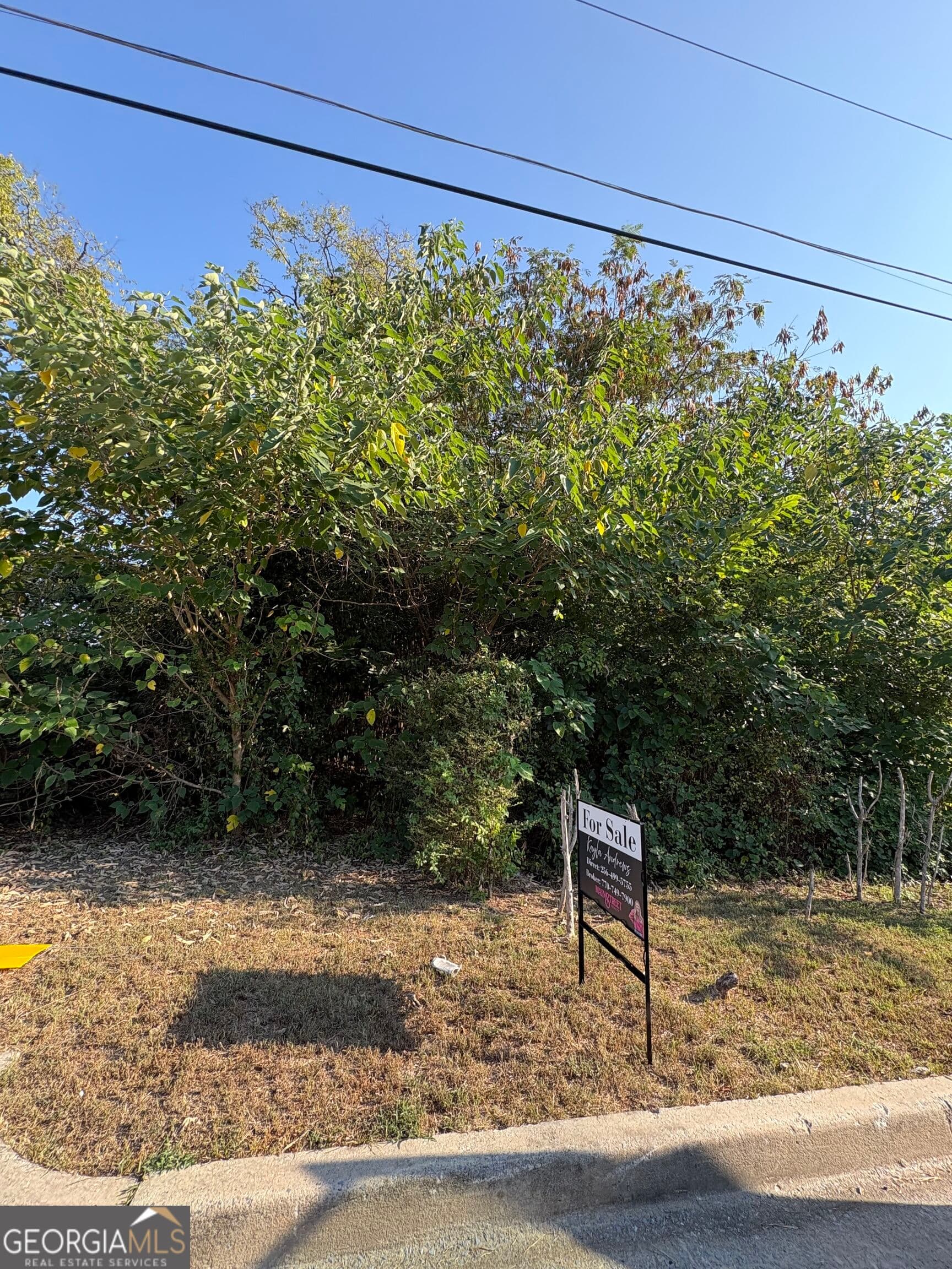 residential lot for sale at 403 Brown Street, Rome, GA 30161 — photo 1 of 1