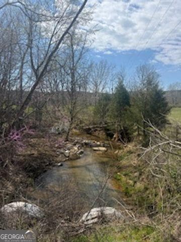 agriculture for sale at 0 Salacoa Road, Fairmount, GA 30139 — photo 3