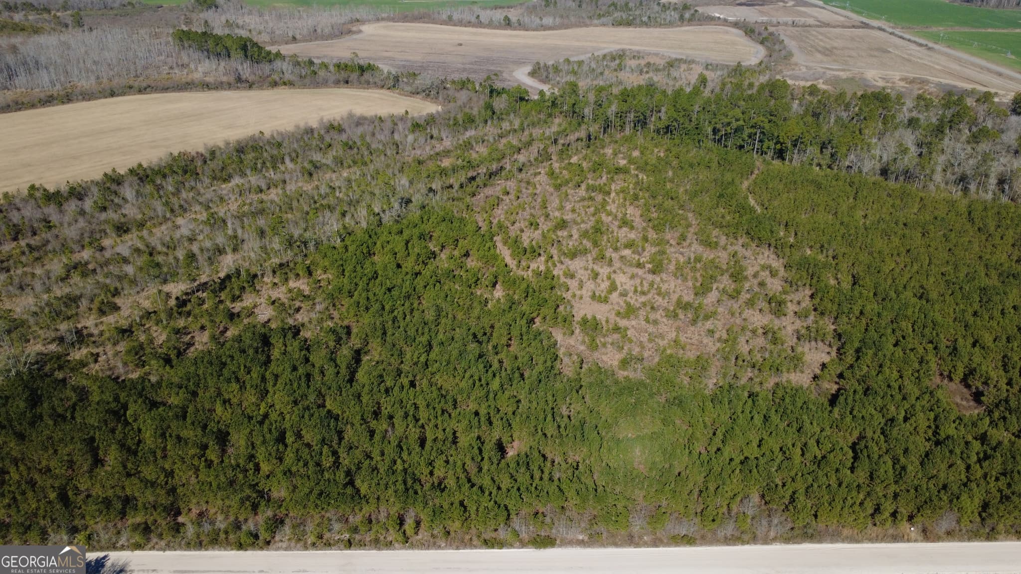 agriculture sold at TRACT 1 Greyhound Road, Mershon, GA 31551