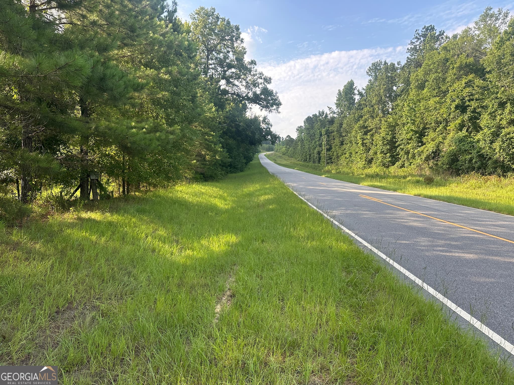 residential lot for sale at 900 Habersham Church Road, Sardis, GA 30456 — photo 2
