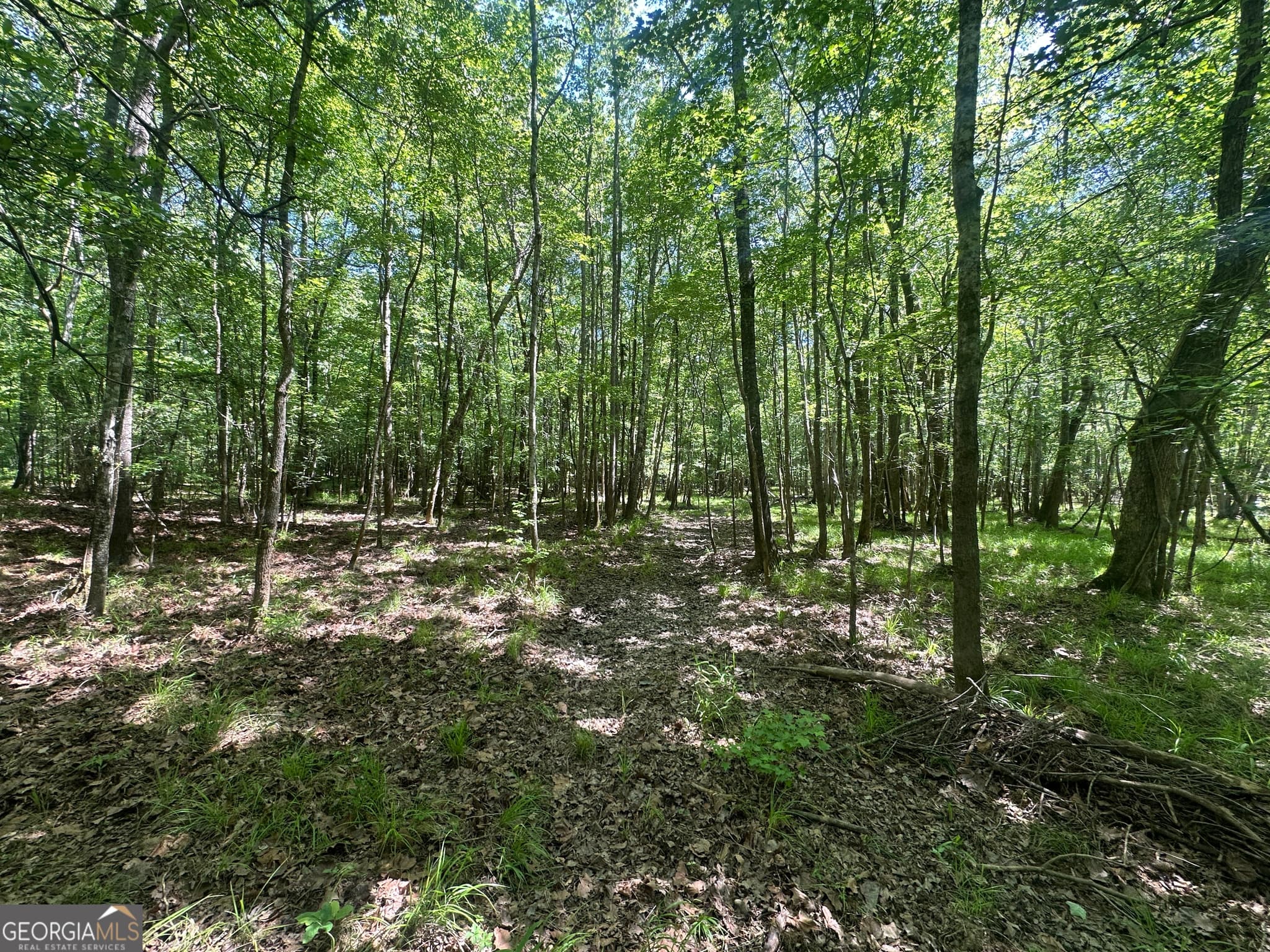 residential lot for sale at 900 Habersham Church Road, Sardis, GA 30456 — photo 7
