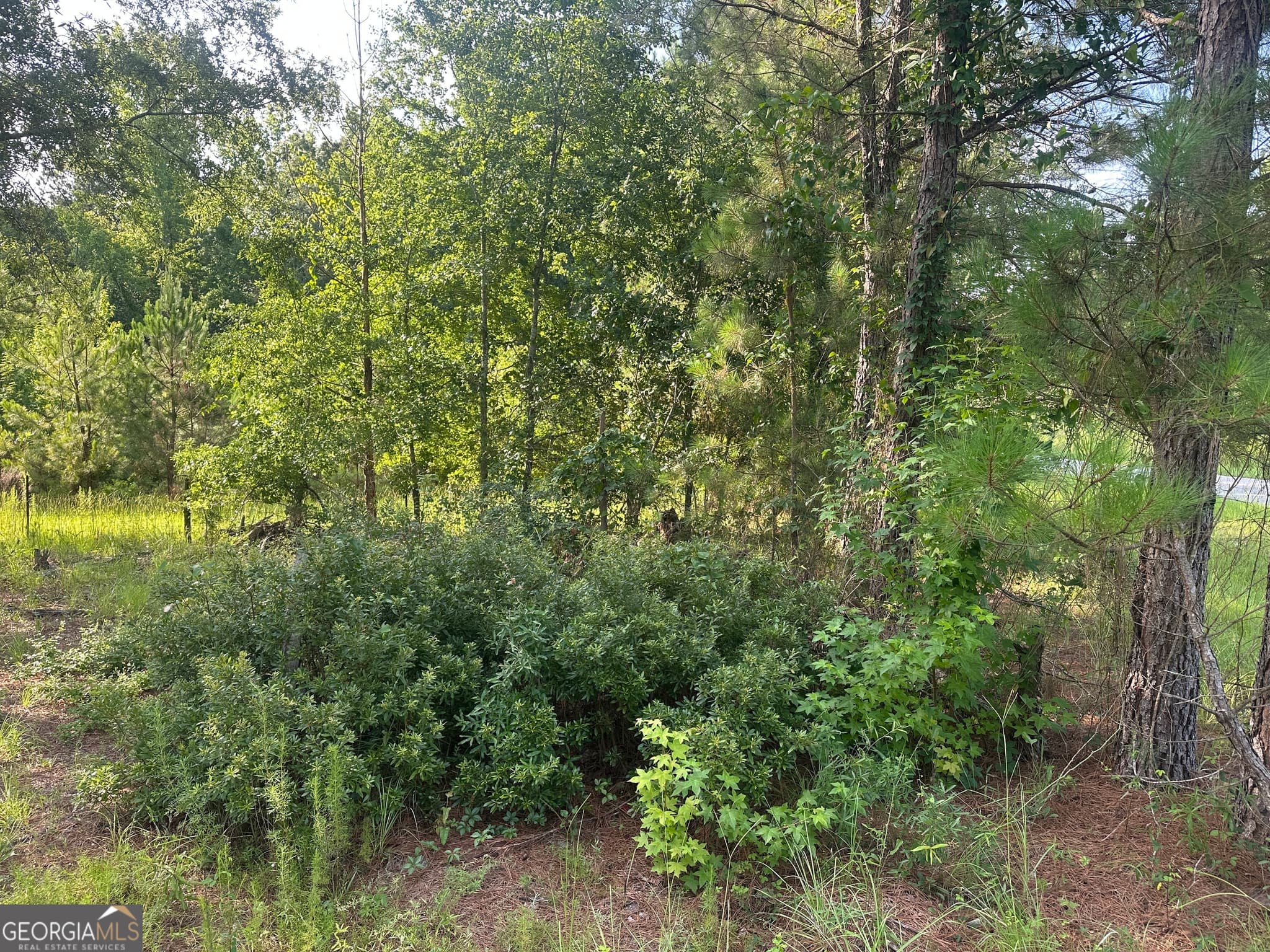 residential lot for sale at 900 Habersham Church Road, Sardis, GA 30456 — photo 3