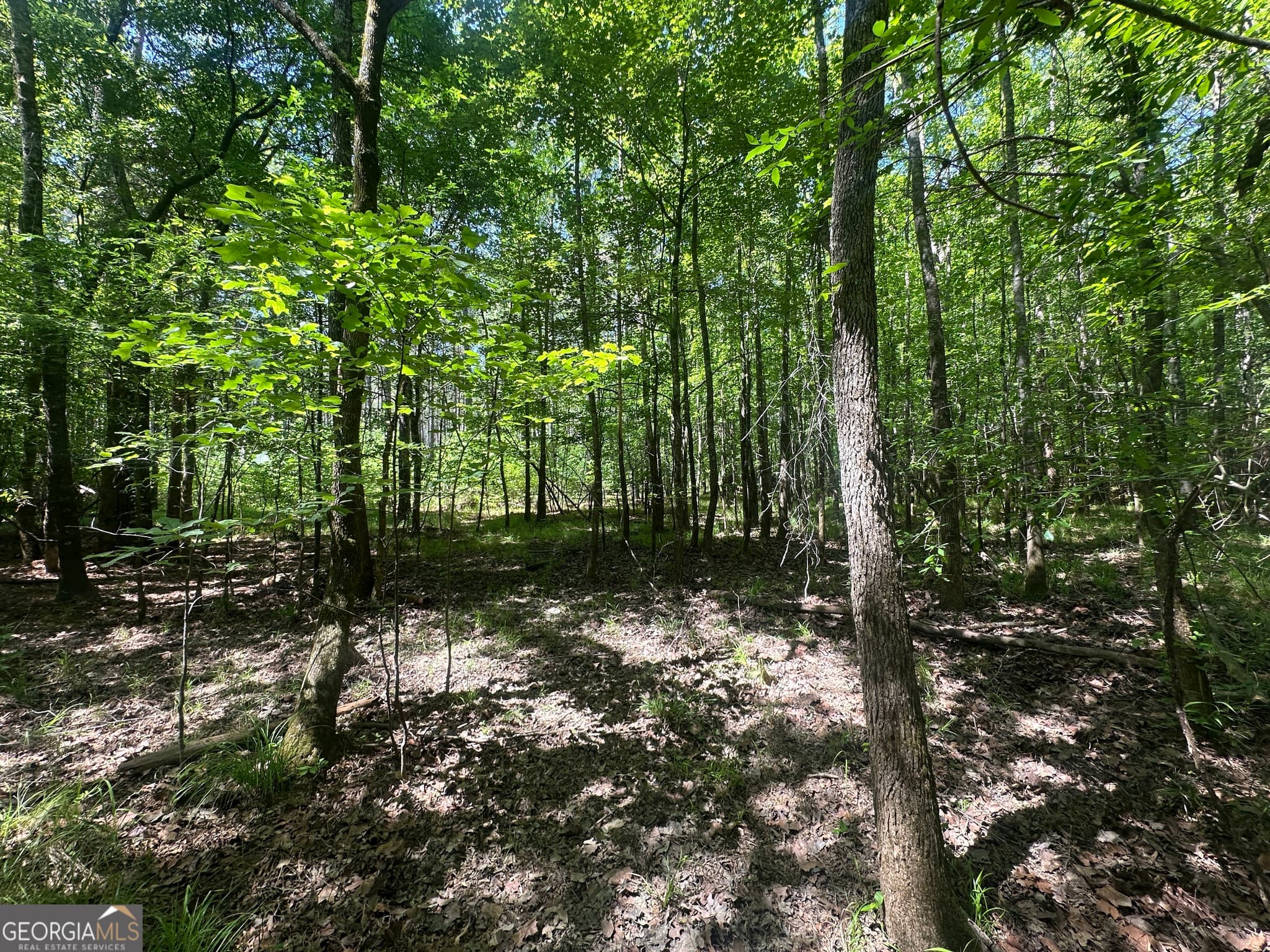 residential lot for sale at 900 Habersham Church Road, Sardis, GA 30456 — photo 5