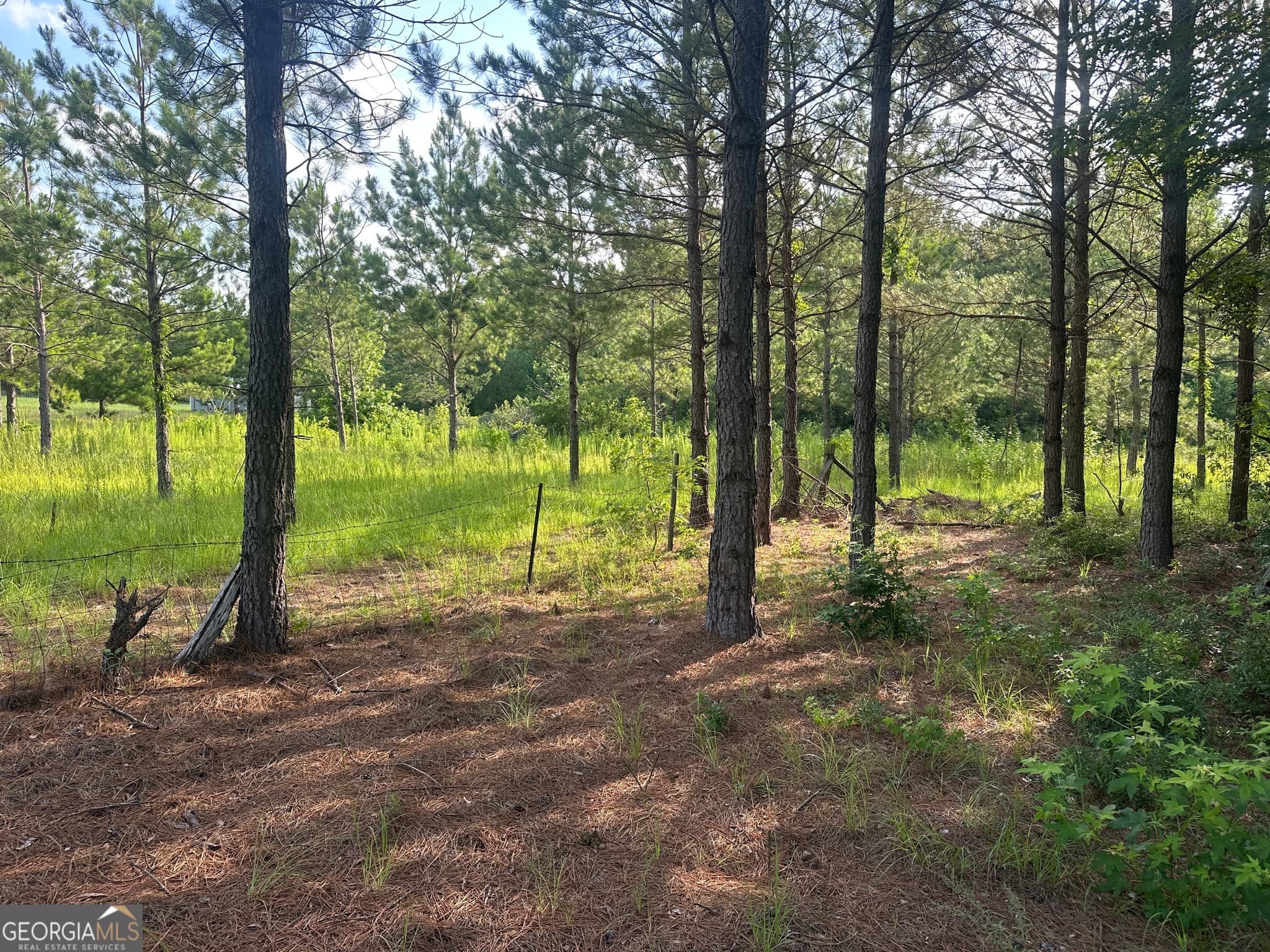 residential lot for sale at 900 Habersham Church Road, Sardis, GA 30456 — photo 4