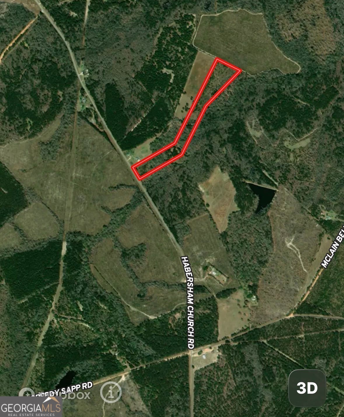 residential lot for sale at 900 Habersham Church Road, Sardis, GA 30456 — photo 8