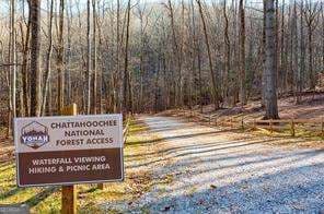residential lot for sale at 0 Yonah Lake Drive, Sautee Nacoochee, GA 30571 — photo 10