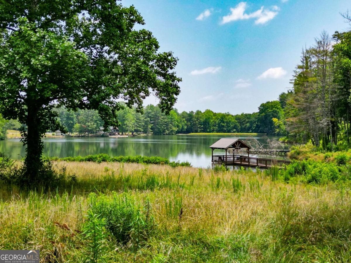 residential lot for sale at 0 Yonah Lake Drive, Sautee Nacoochee, GA 30571 — photo 4