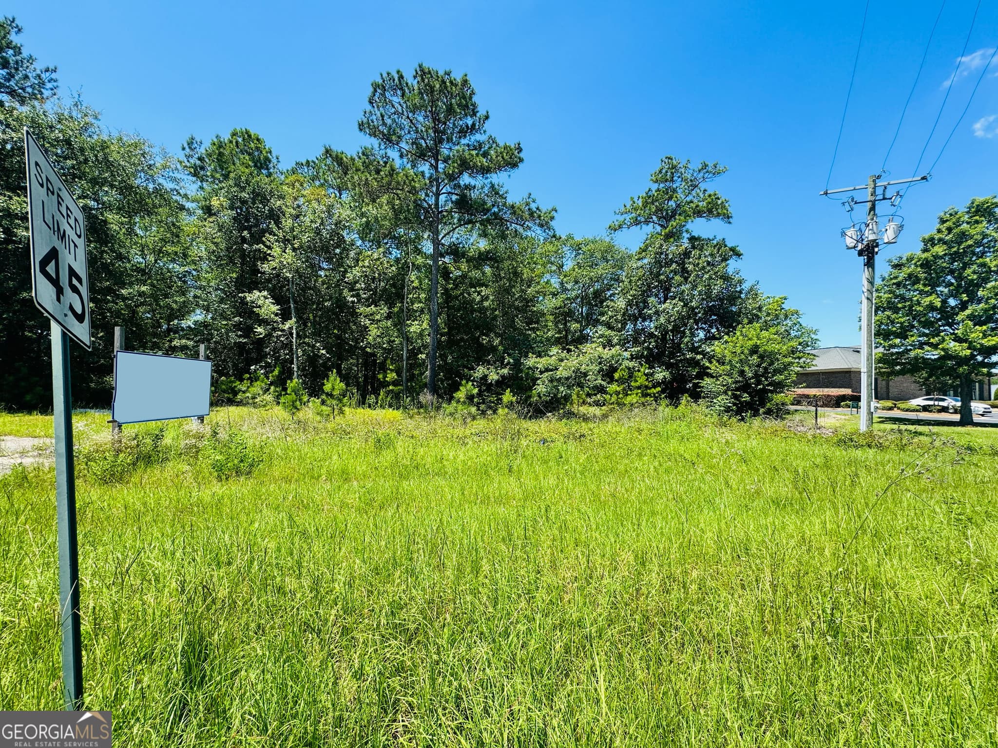 unimproved land for sale at 0 S Highway 441, Dublin, GA 31021 — photo 10