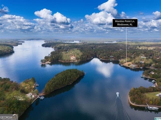 residential lot for sale at 0 Monties Point 28, Wedowee, AL 36278 — photo 3