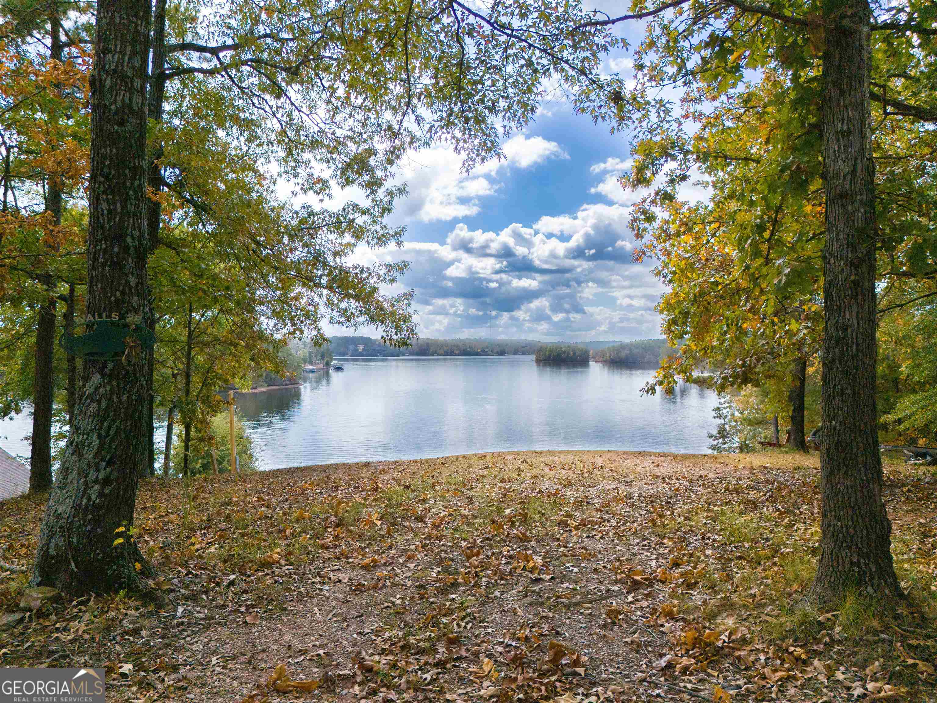 residential lot for sale at 0 Monties Point 28, Wedowee, AL 36278 — photo 5