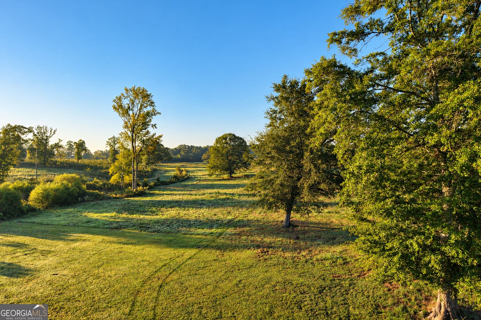 6 bedroom, 5 bathroom, 5,978 sq ft farm for sale at 564 Bush Road, Barnesville, GA 30204 — photo 6