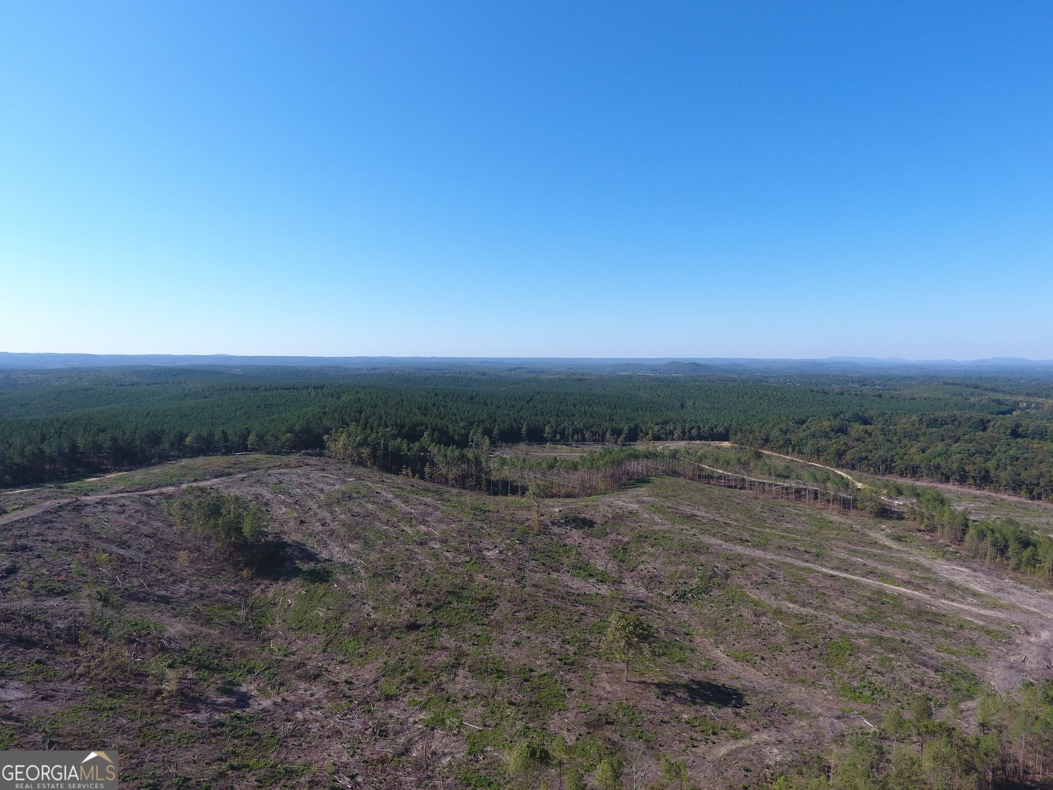 agriculture for sale at 0 Coaling Road 9221-A, Cedartown, GA 30125 — photo 7