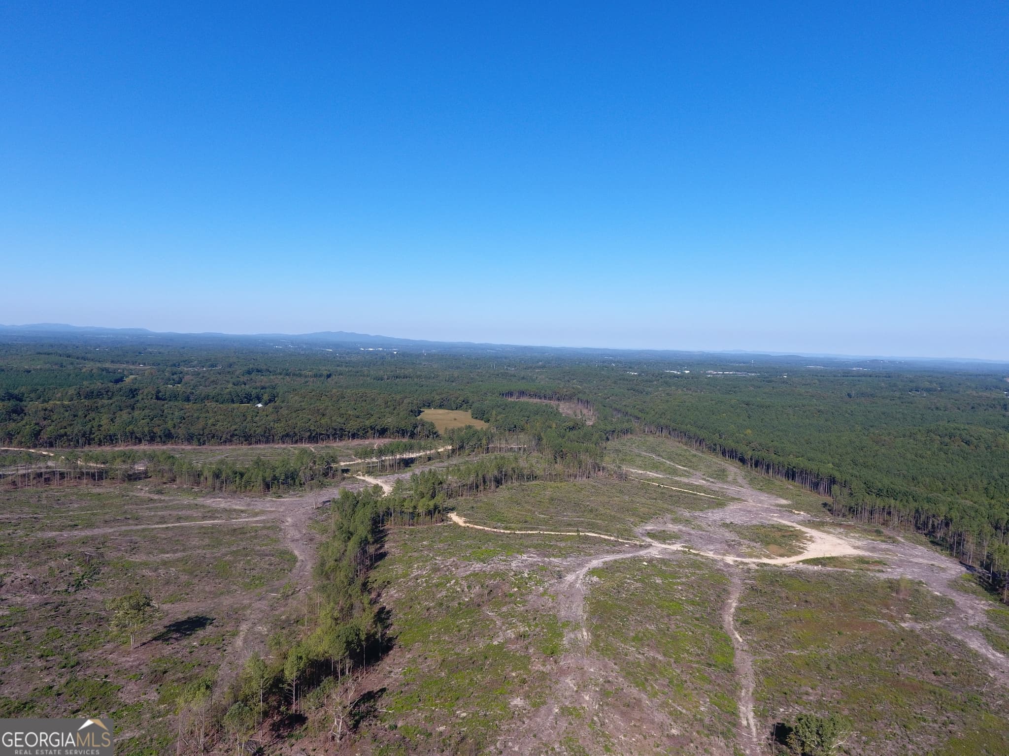 agriculture for sale at 0 Coaling Road 9221-A, Cedartown, GA 30125 — photo 5