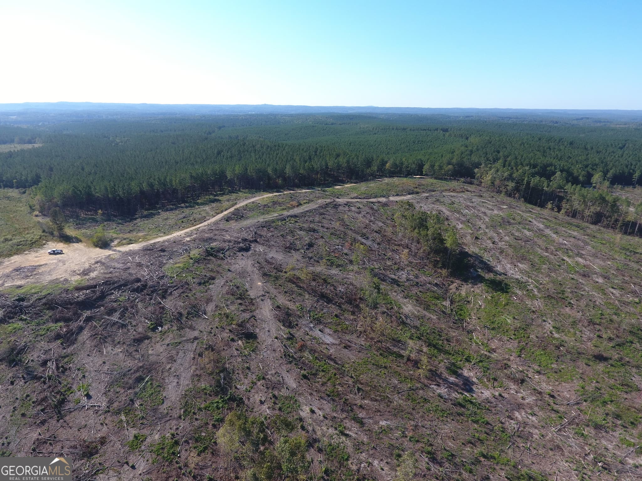 agriculture for sale at 0 Coaling Road 9221-A, Cedartown, GA 30125 — photo 8