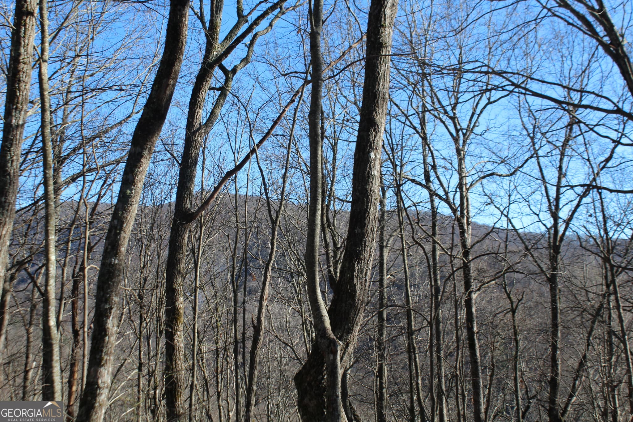 1 bedroom, 375 sq ft cabin,single family residence for sale at TRACT B Highland Cove, Hayesville, NC 28904 — photo 2