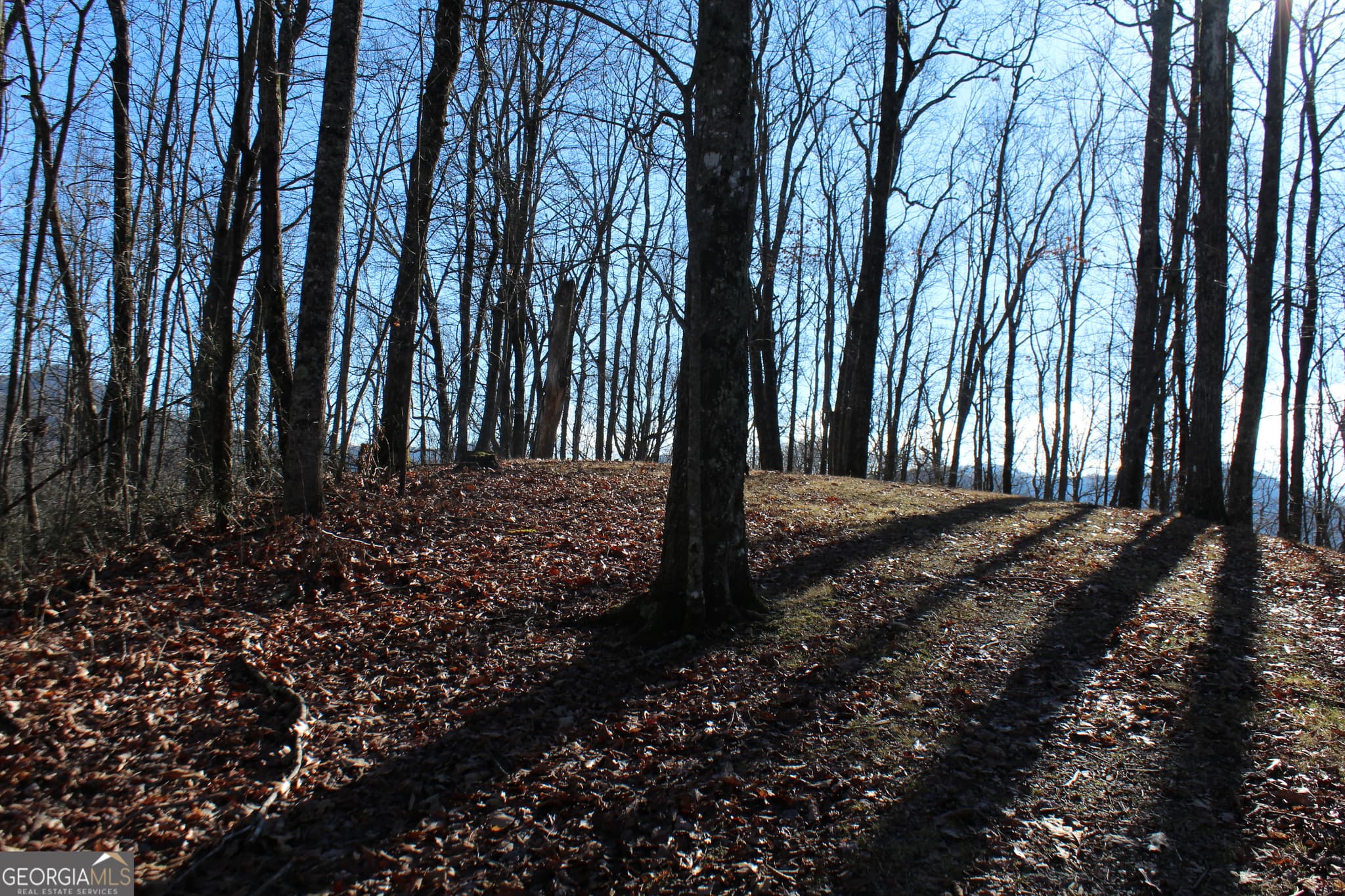 1 bedroom, 375 sq ft cabin,single family residence for sale at TRACT B Highland Cove, Hayesville, NC 28904 — photo 7