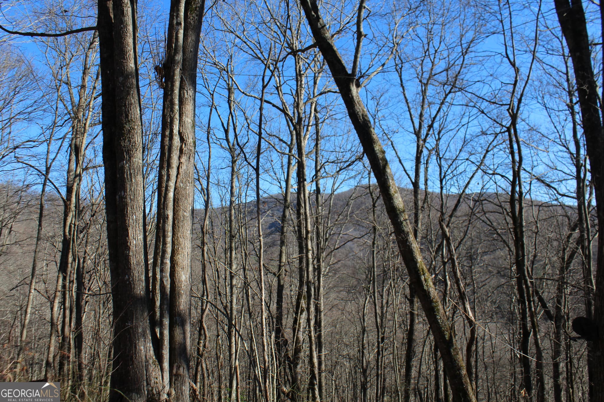 1 bedroom, 375 sq ft cabin,single family residence for sale at TRACT B Highland Cove, Hayesville, NC 28904 — photo 5